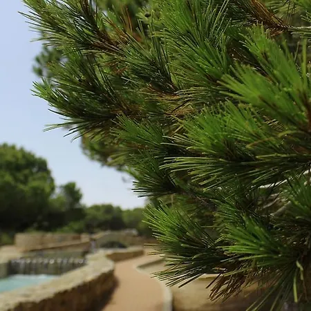 паркемар Apartment Torrevieja
